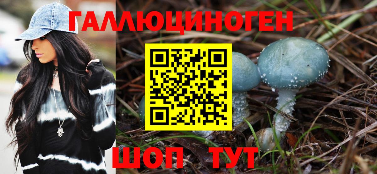 Галлюциногенные грибы прущие грибы  Галлюциногенные грибы мухоморы  Муром  Вход с VPN 